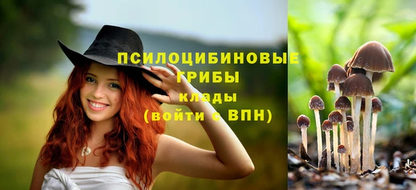герыч Арсеньев