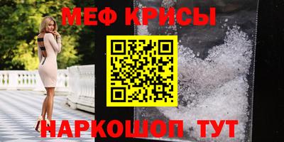 индика Кингисепп