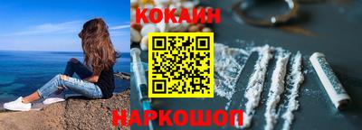 индика Кингисепп