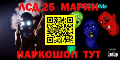индика Кингисепп