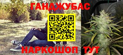 индика Кингисепп