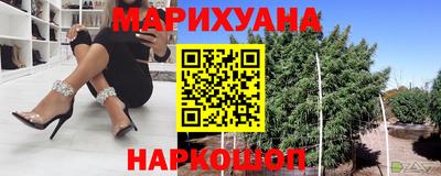 индика Кингисепп