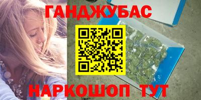 индика Кингисепп