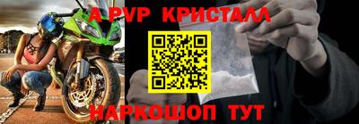 индика Кингисепп