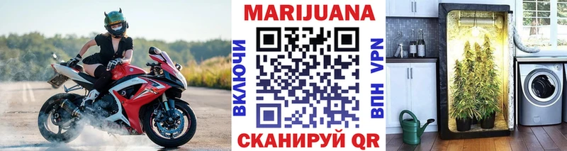 Шишки марихуана планчик Калуга